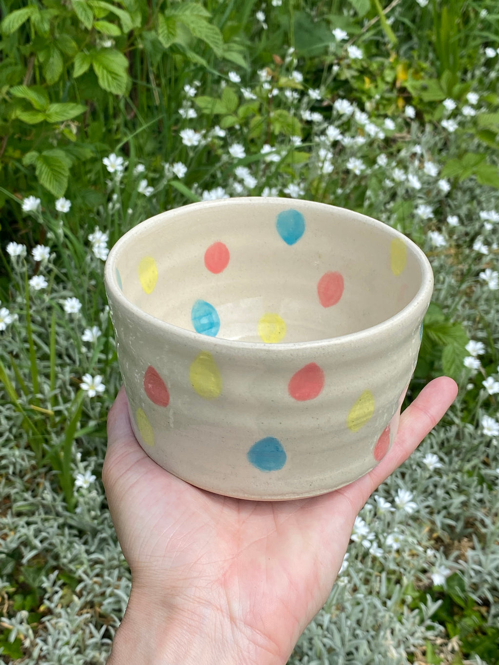Rainbow Raindrops: A Playful Multi-Use Bowl, Planter & Pot