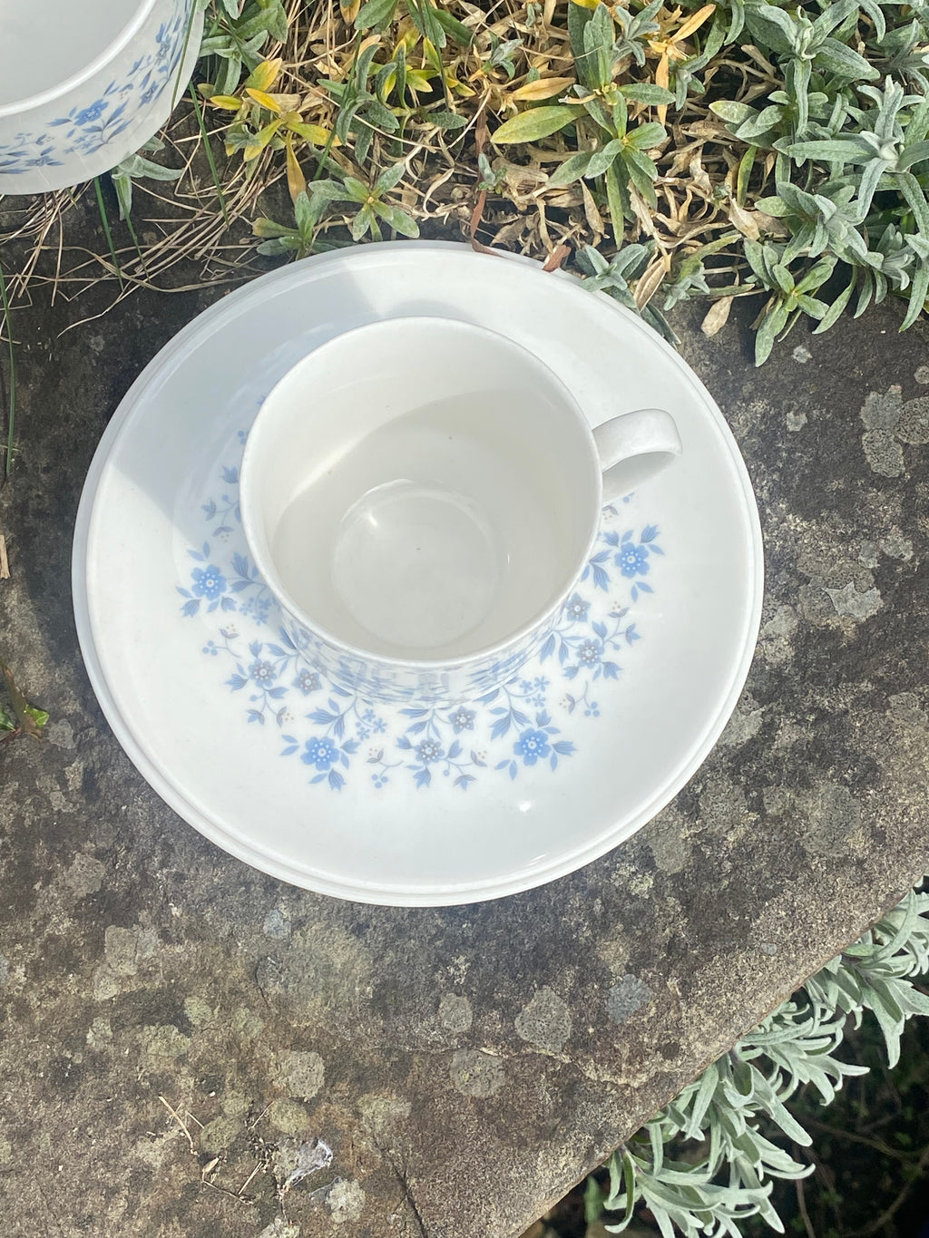 Royal Doulton Coffee Set for Four: Quiet Luxury for Shared Moments