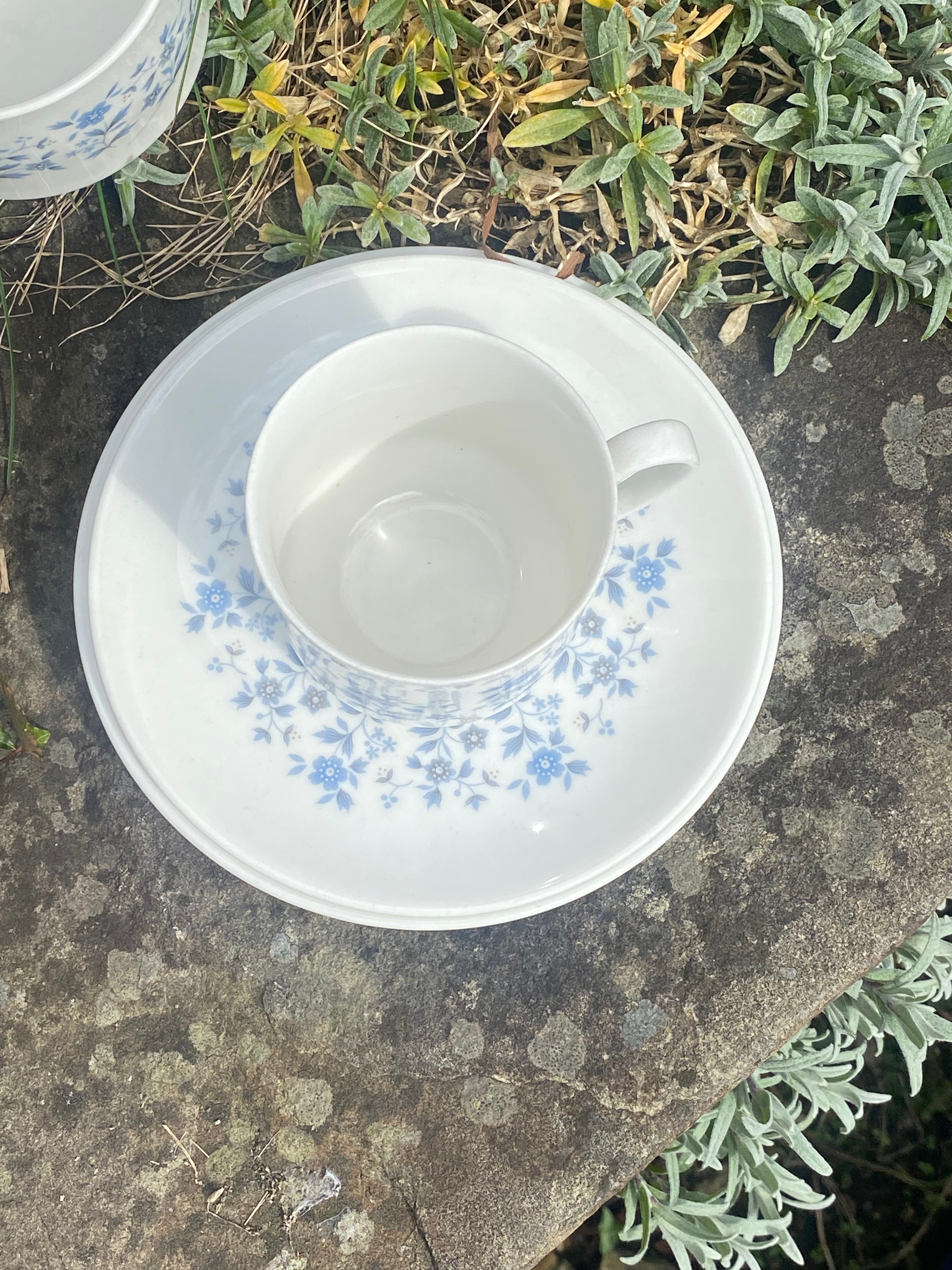 Royal Doulton Coffee Set for Four: Quiet Luxury for Shared Moments
