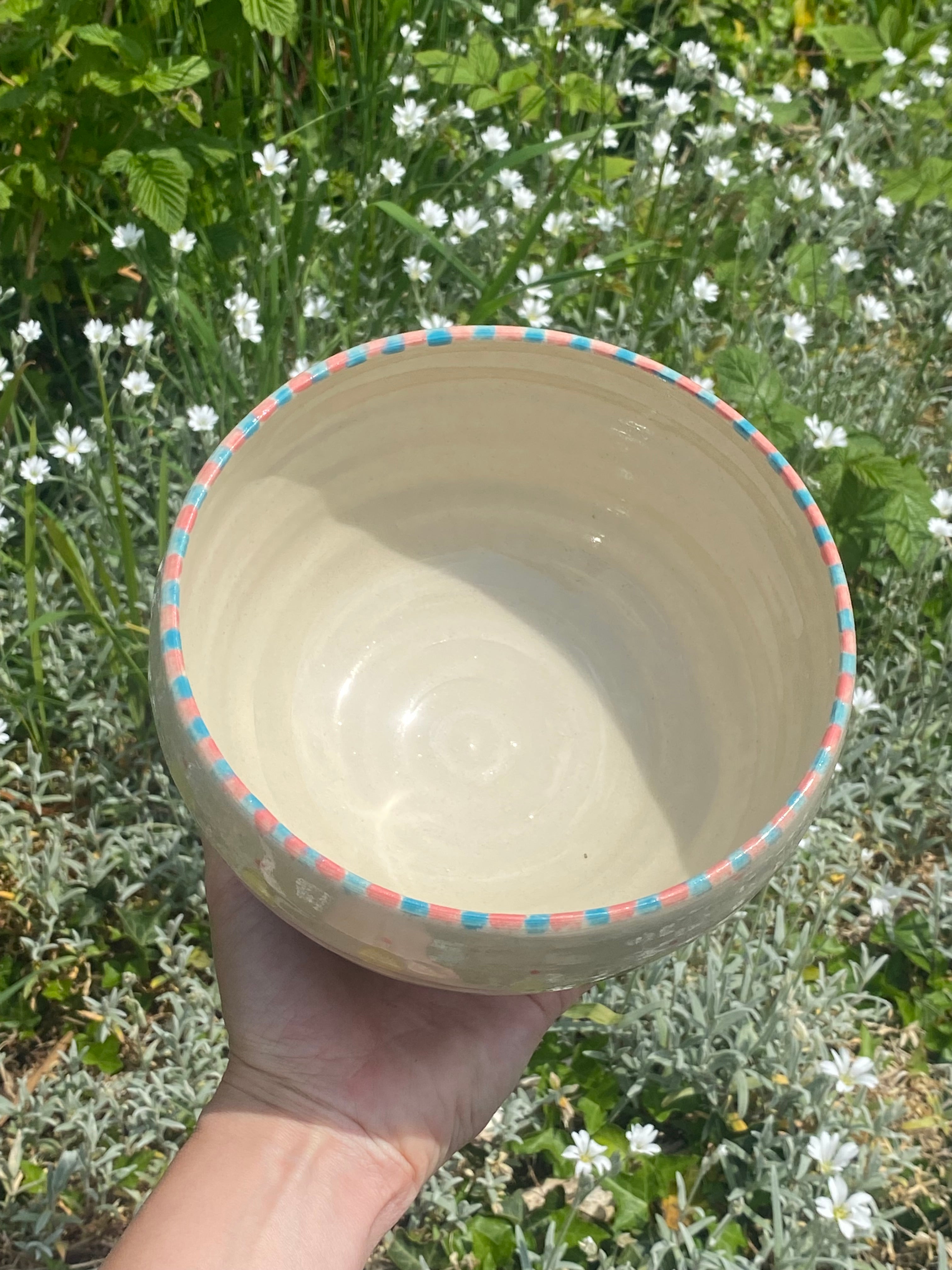 Candy-Coloured Large Bowl: Eat, Display, Grow
