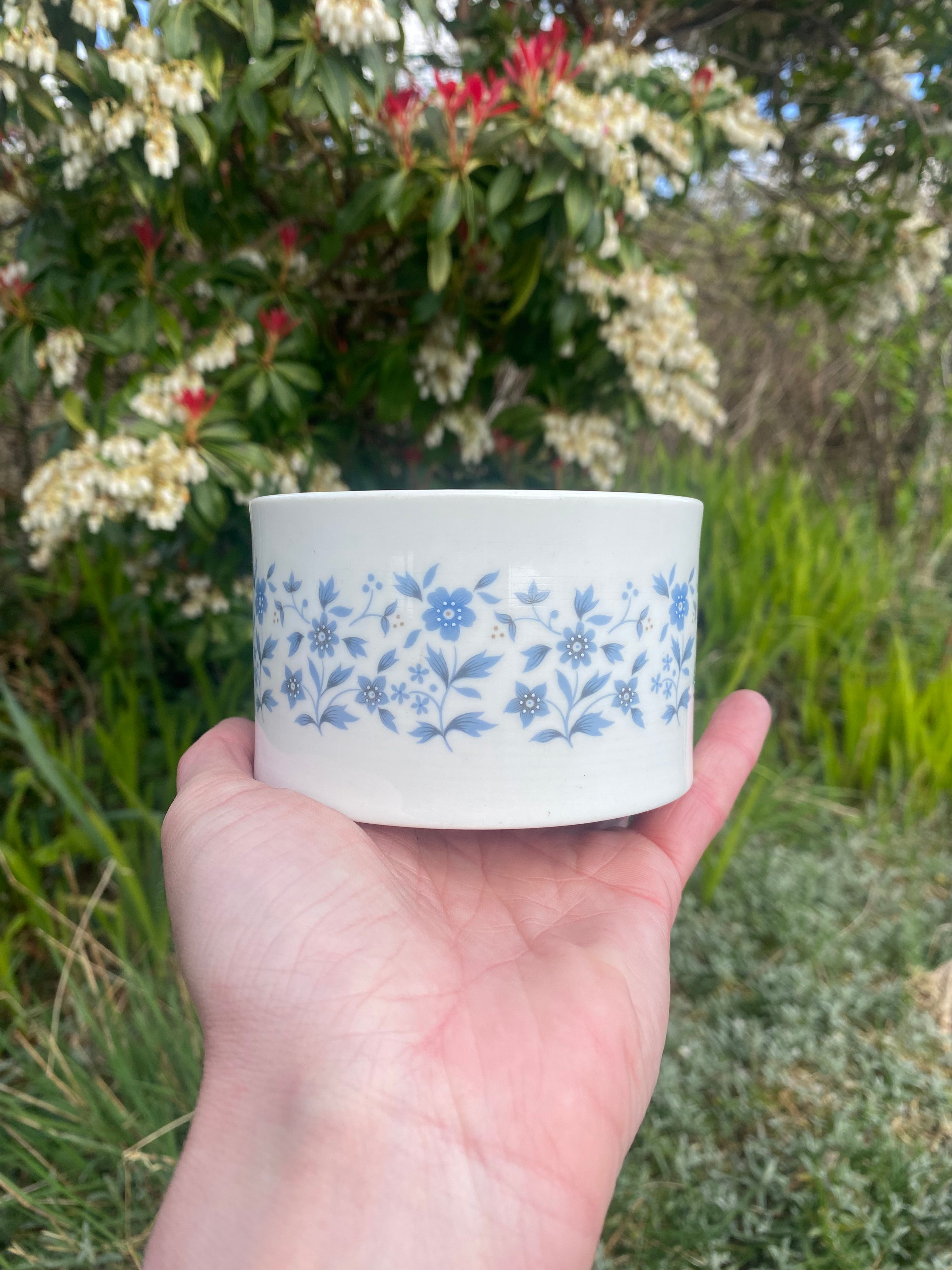 Royal Doulton Coffee Set for Four: Quiet Luxury for Shared Moments