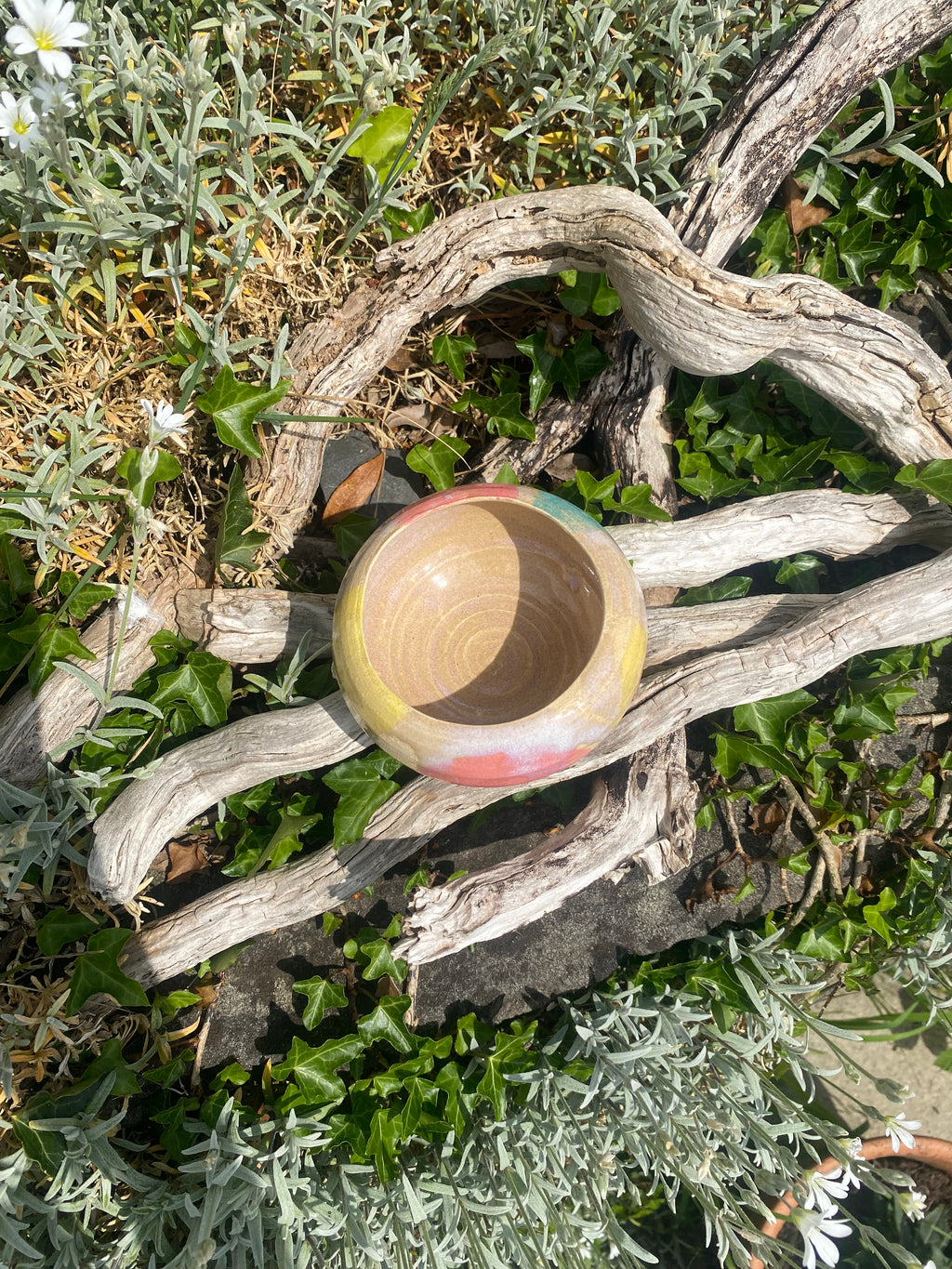 Soft focus, candy colors, textured vessel, planter, sauce bowl.