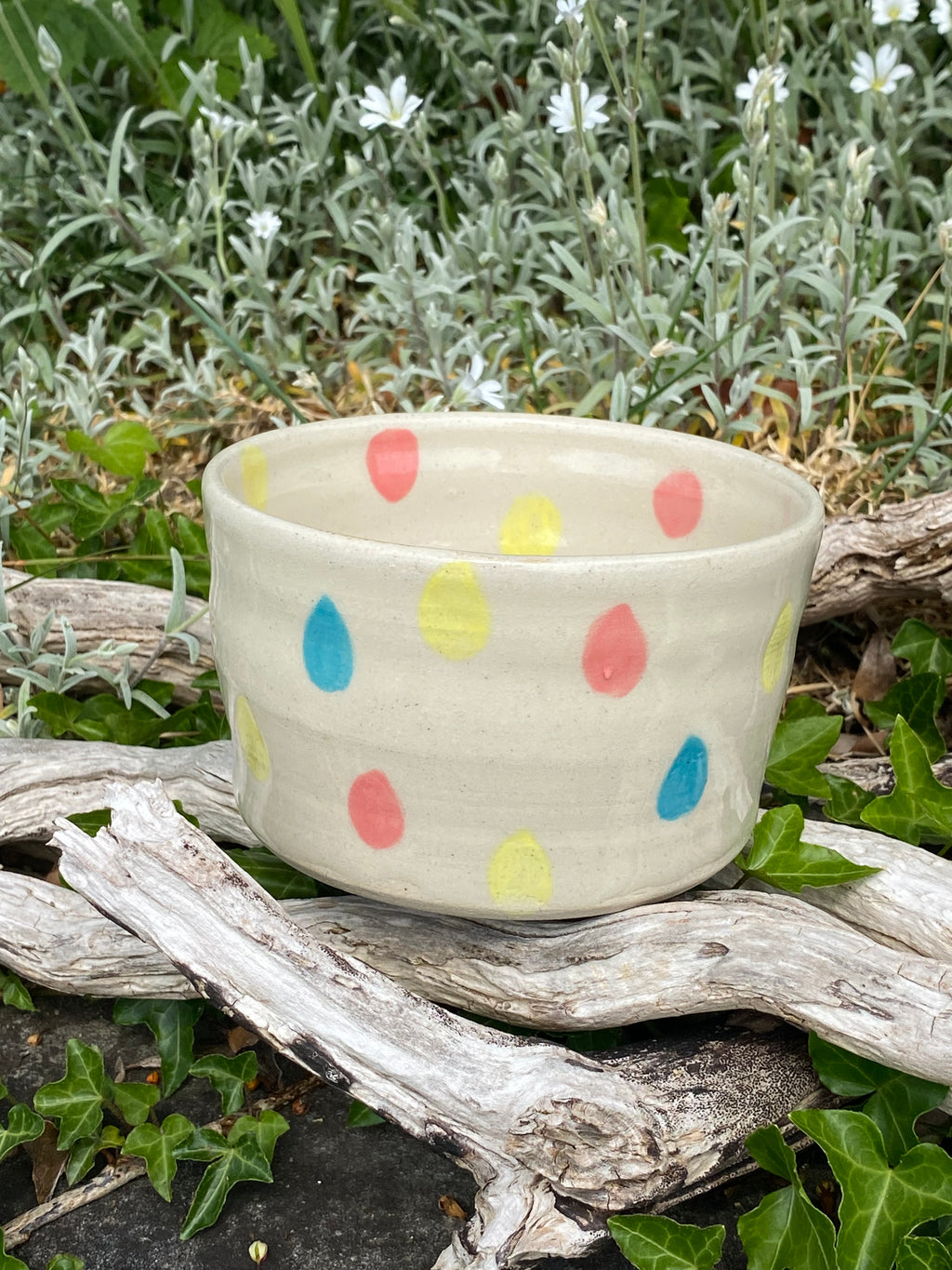 Rainbow Raindrops: A Playful Multi-Use Bowl, Planter & Pot