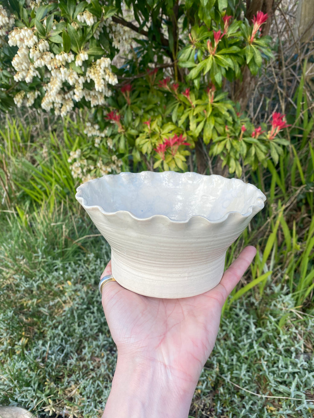 White frilly edge pot — a delicate, sustainable statement for your indoor garden