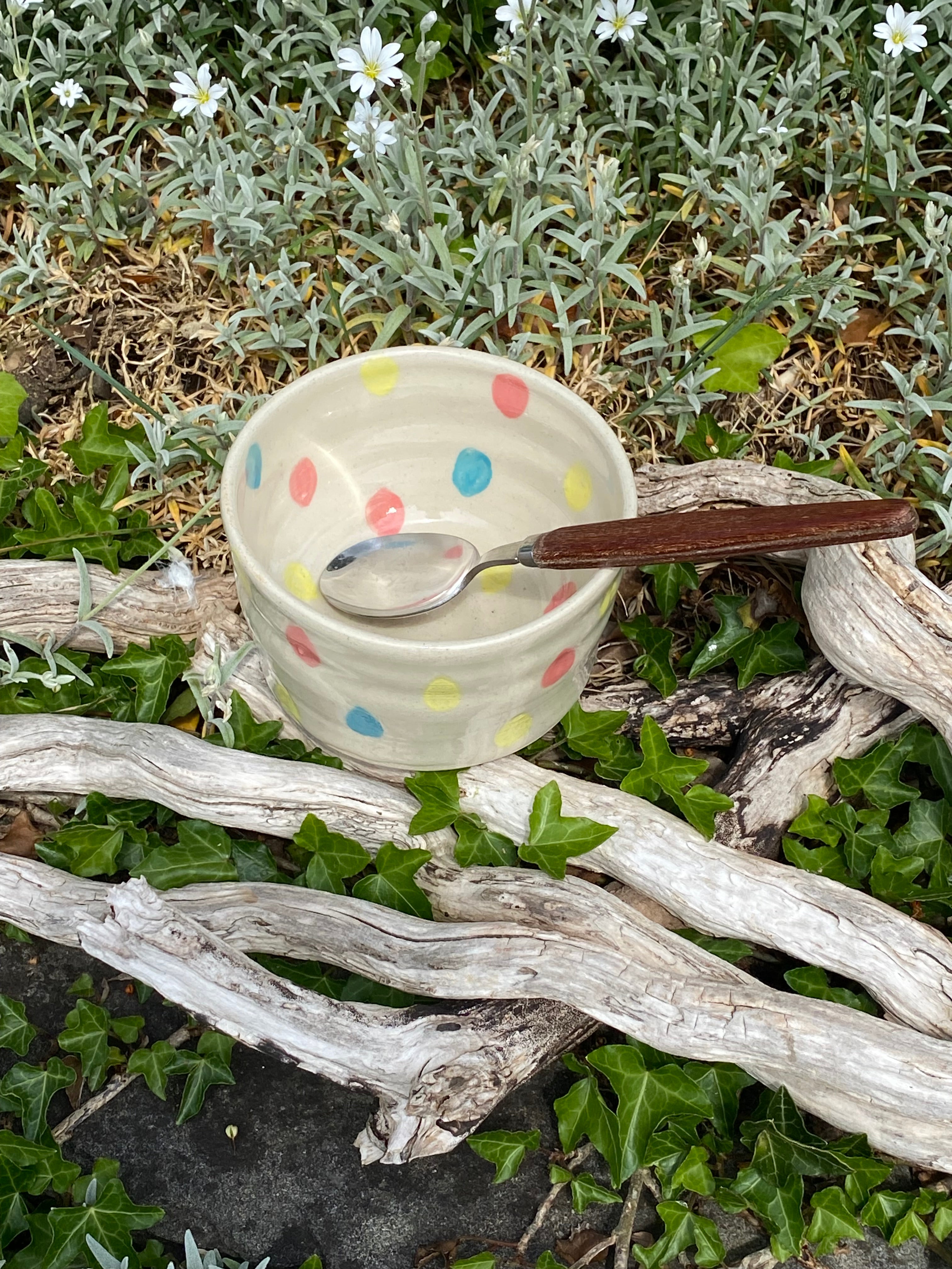 Rainbow Raindrops: A Playful Multi-Use Bowl, Planter & Pot