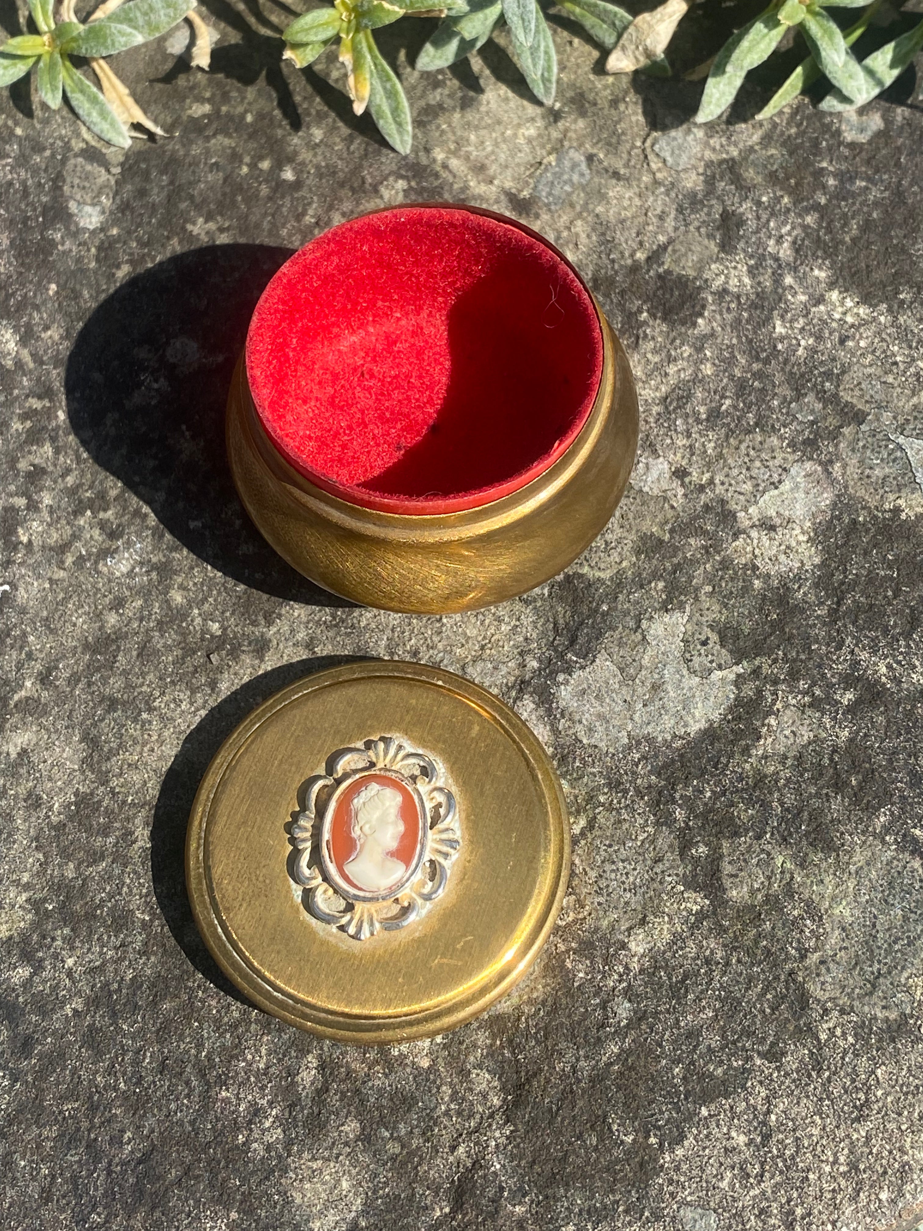 Cameo Brass Curio: Tiny Jewellery Pot for Treasures