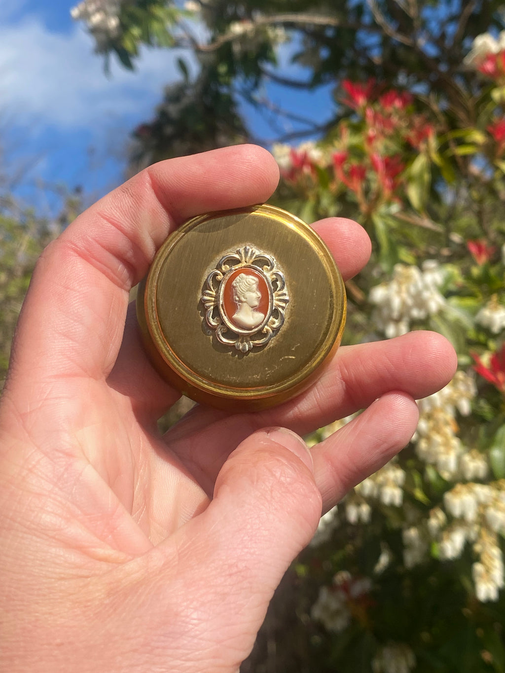 Cameo Brass Curio: Tiny Jewellery Pot for Treasures