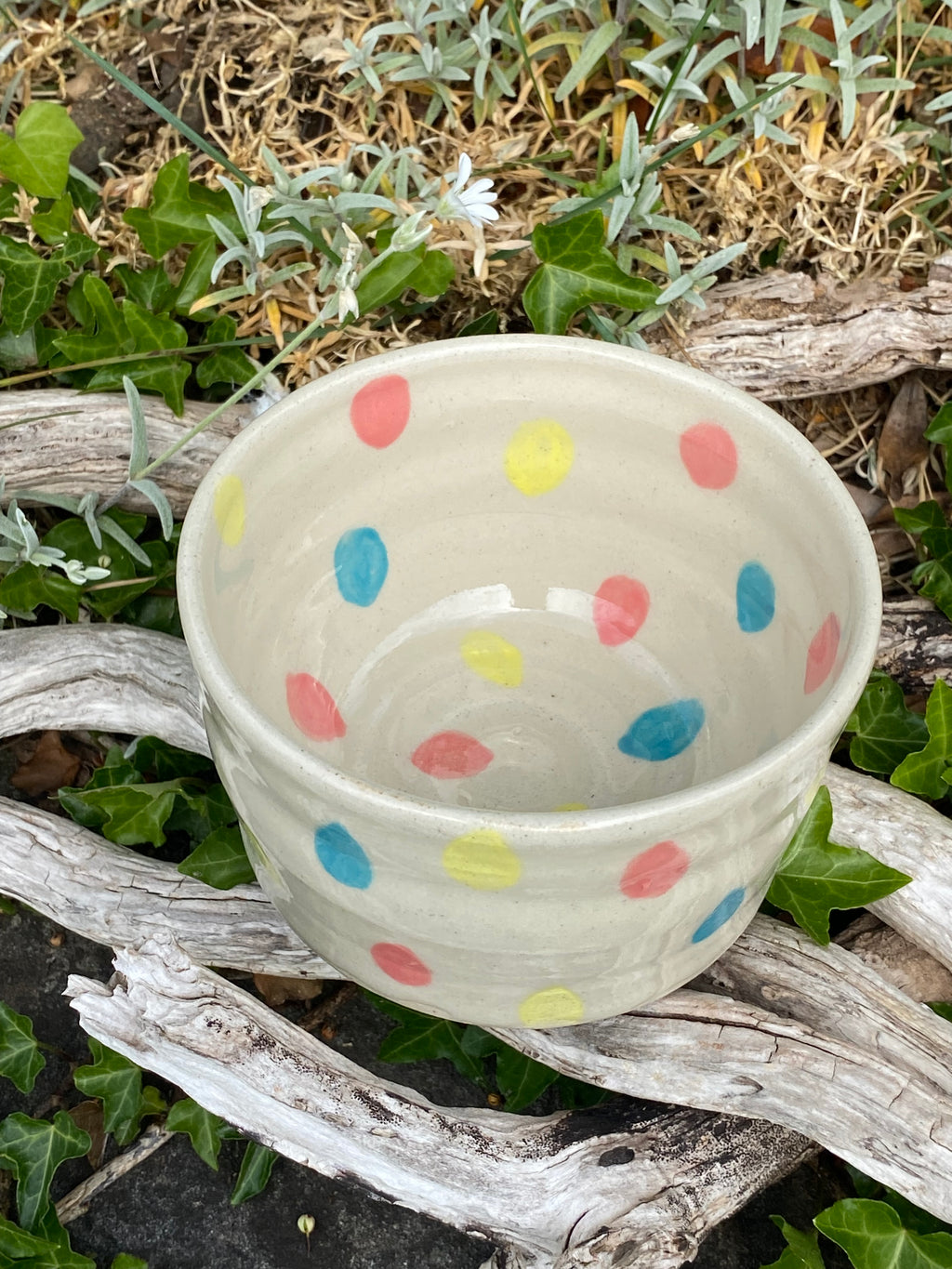 Rainbow Raindrops: A Playful Multi-Use Bowl, Planter & Pot