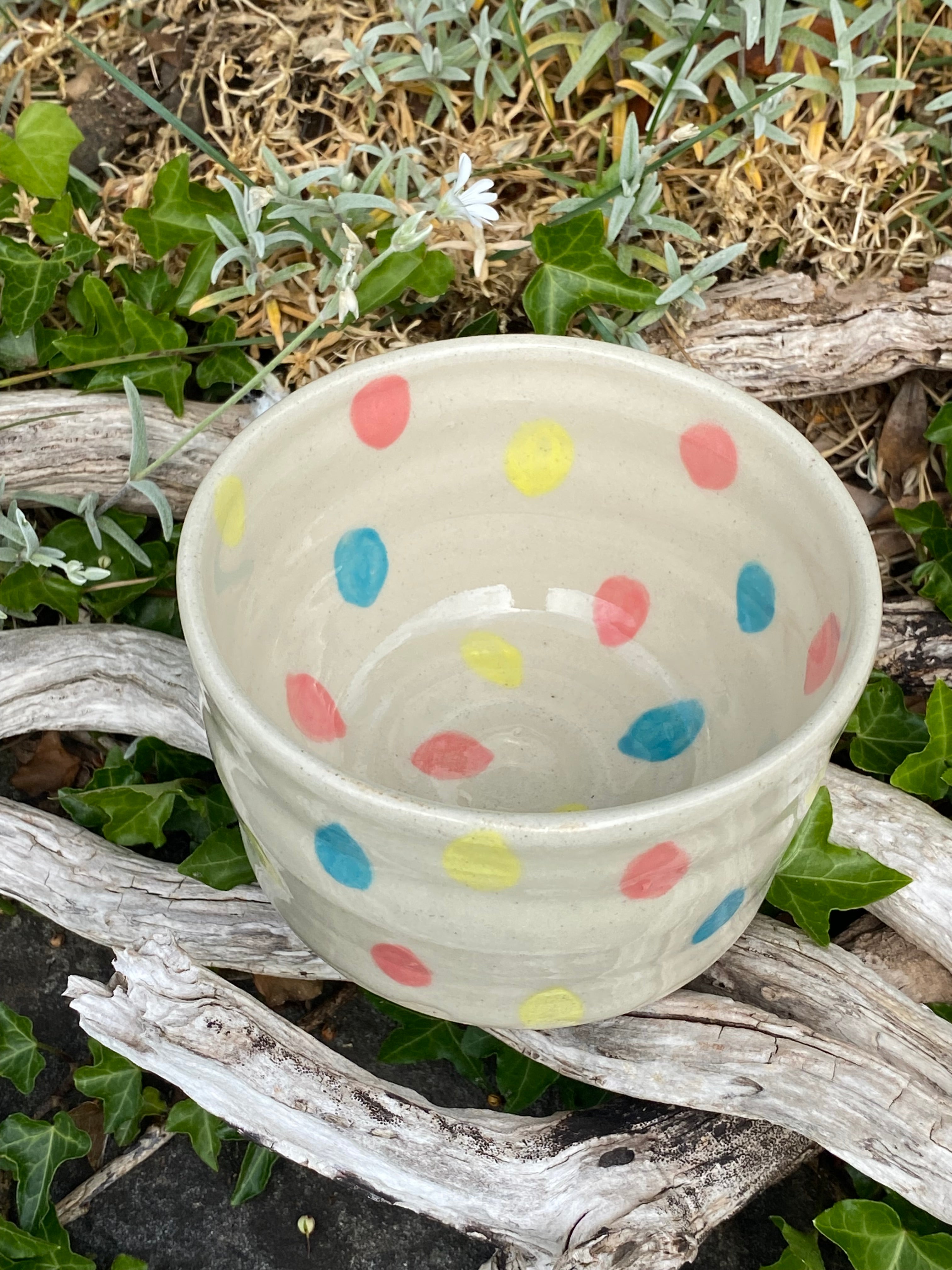 Rainbow Raindrops: A Playful Multi-Use Bowl, Planter & Pot