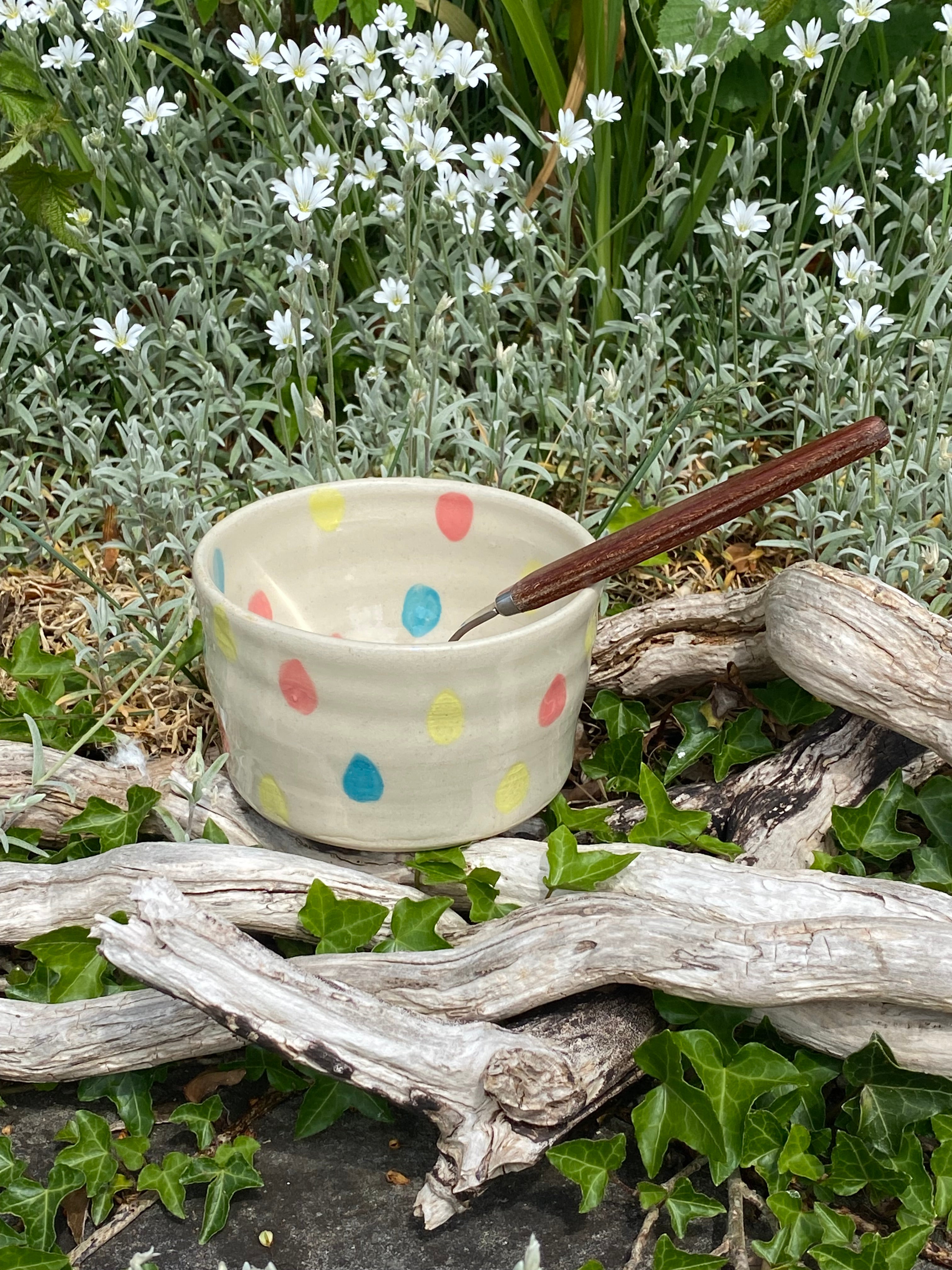 Rainbow Raindrops: A Playful Multi-Use Bowl, Planter & Pot