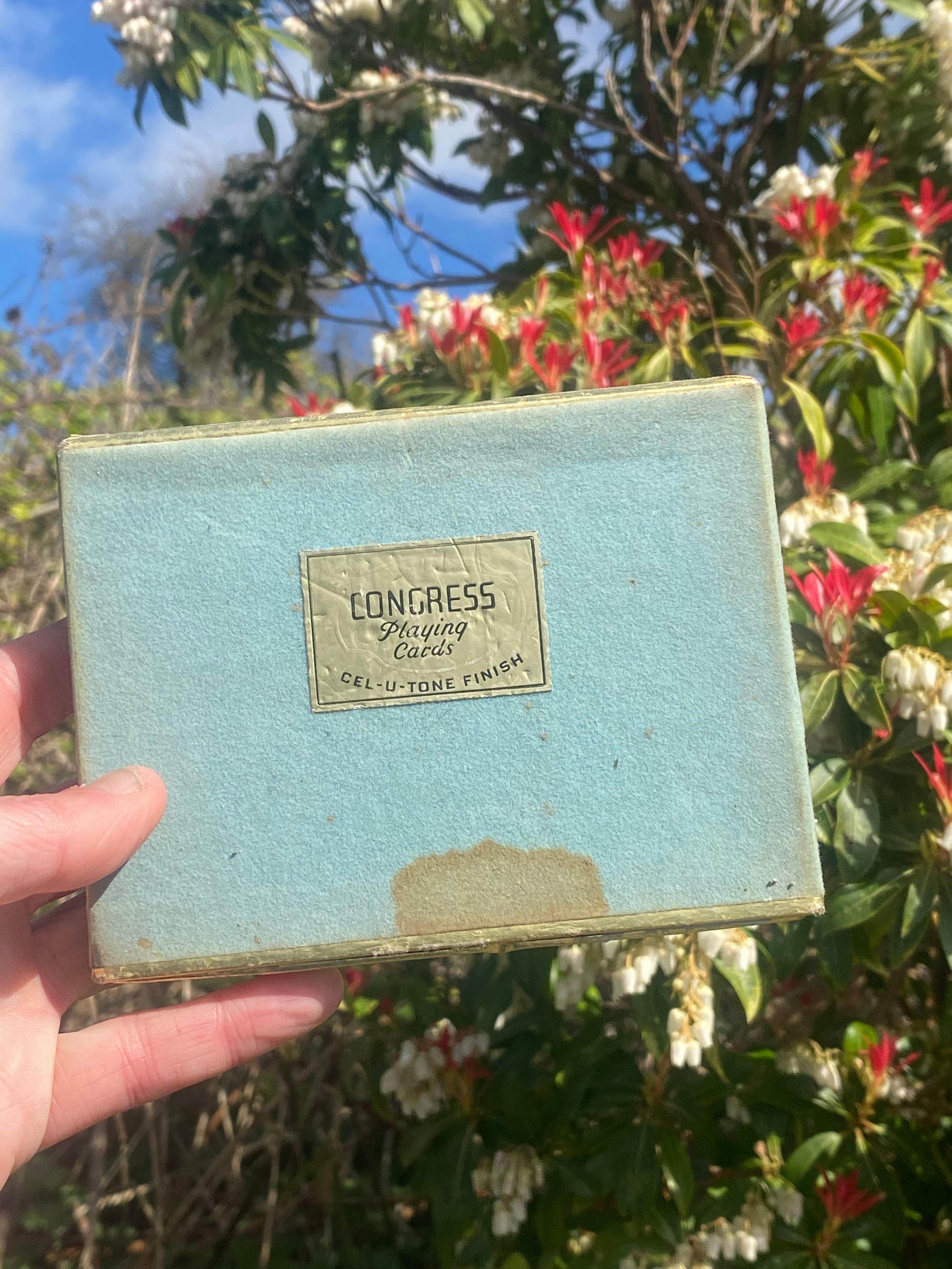 Blooms in the Box: Two Floral Playing Card Decks for Elegant Game Nights