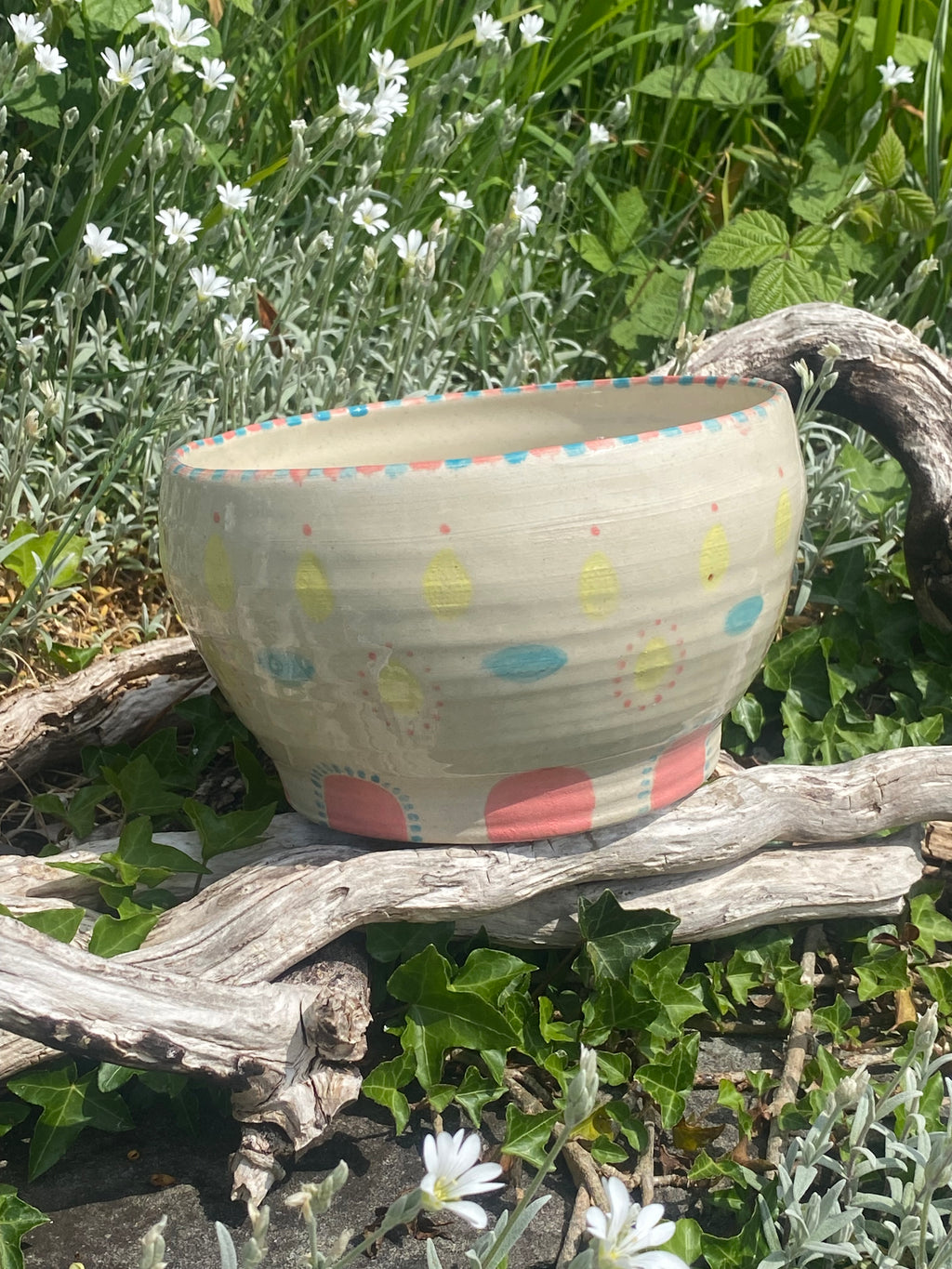 Candy-Coloured Large Bowl: Eat, Display, Grow