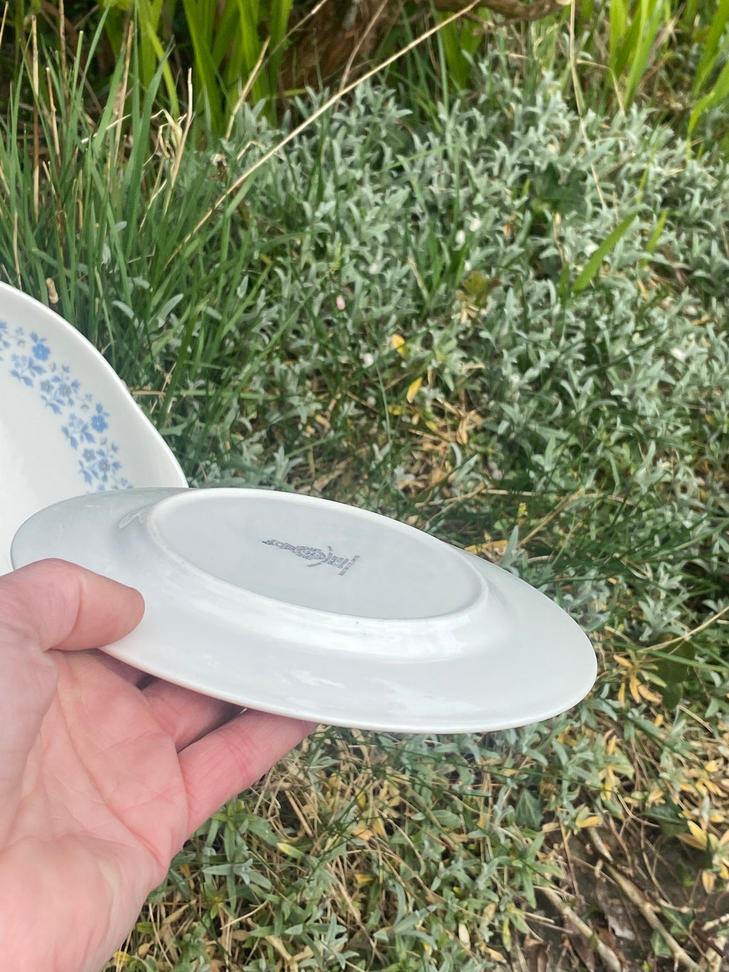 Royal Doulton Coffee Set for Four: Quiet Luxury for Shared Moments