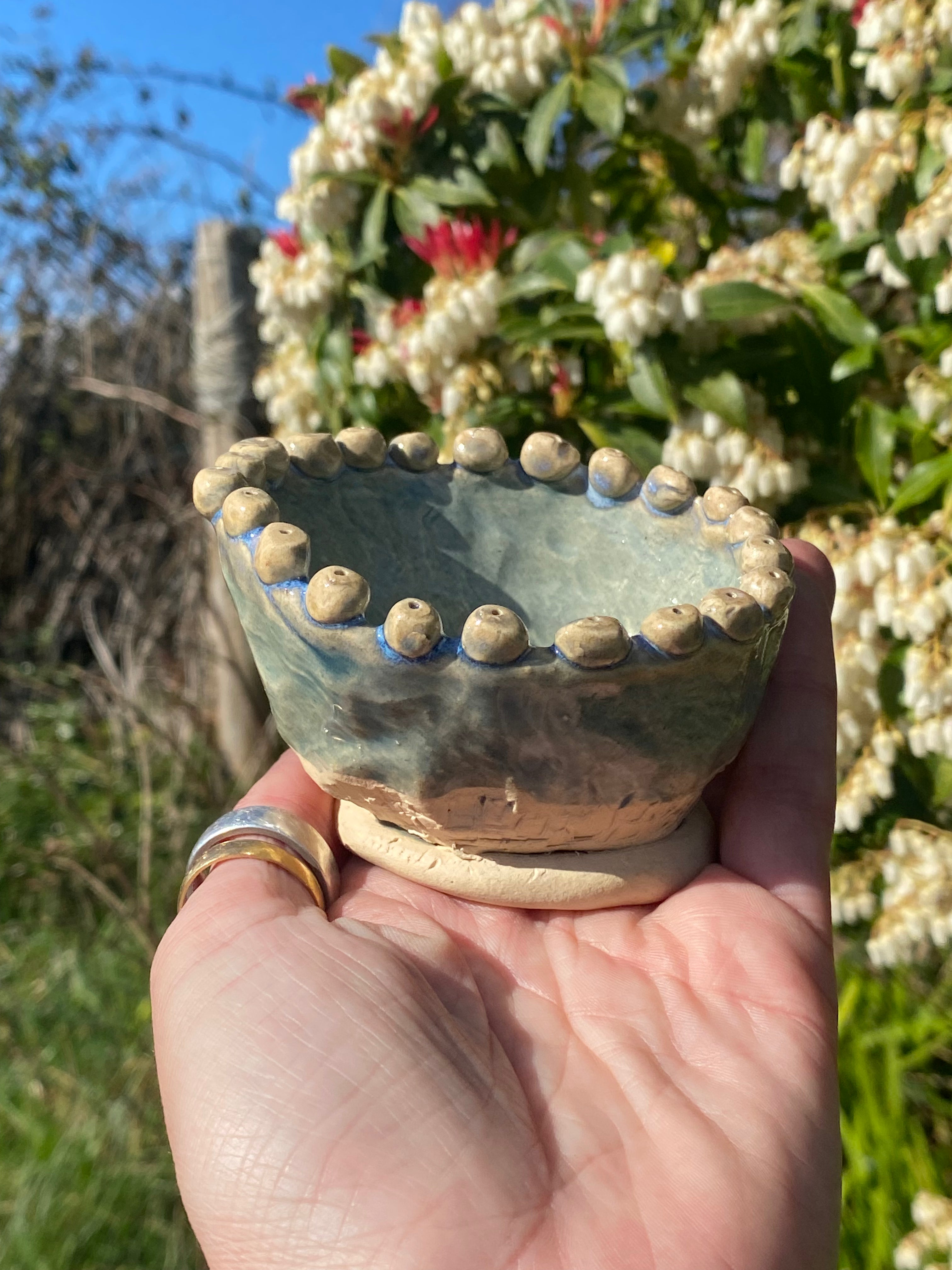 Small Green Tooth Pot — a pocket-sized smile for your greens
