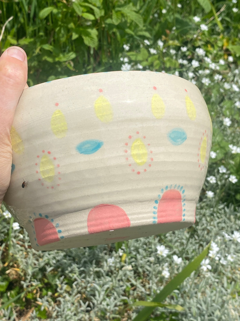 Candy-Coloured Large Bowl: Eat, Display, Grow