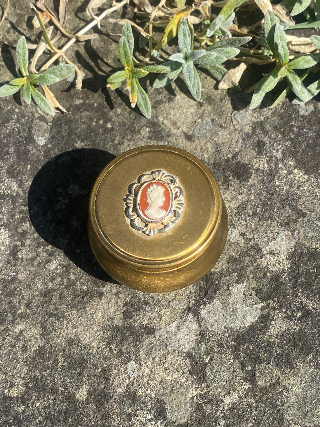 Cameo Brass Curio: Tiny Jewellery Pot for Treasures