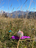 funky disco snail hanging ornament sun catcher in a grassy field on top of a mountain in Italy, with a clear blue sky.