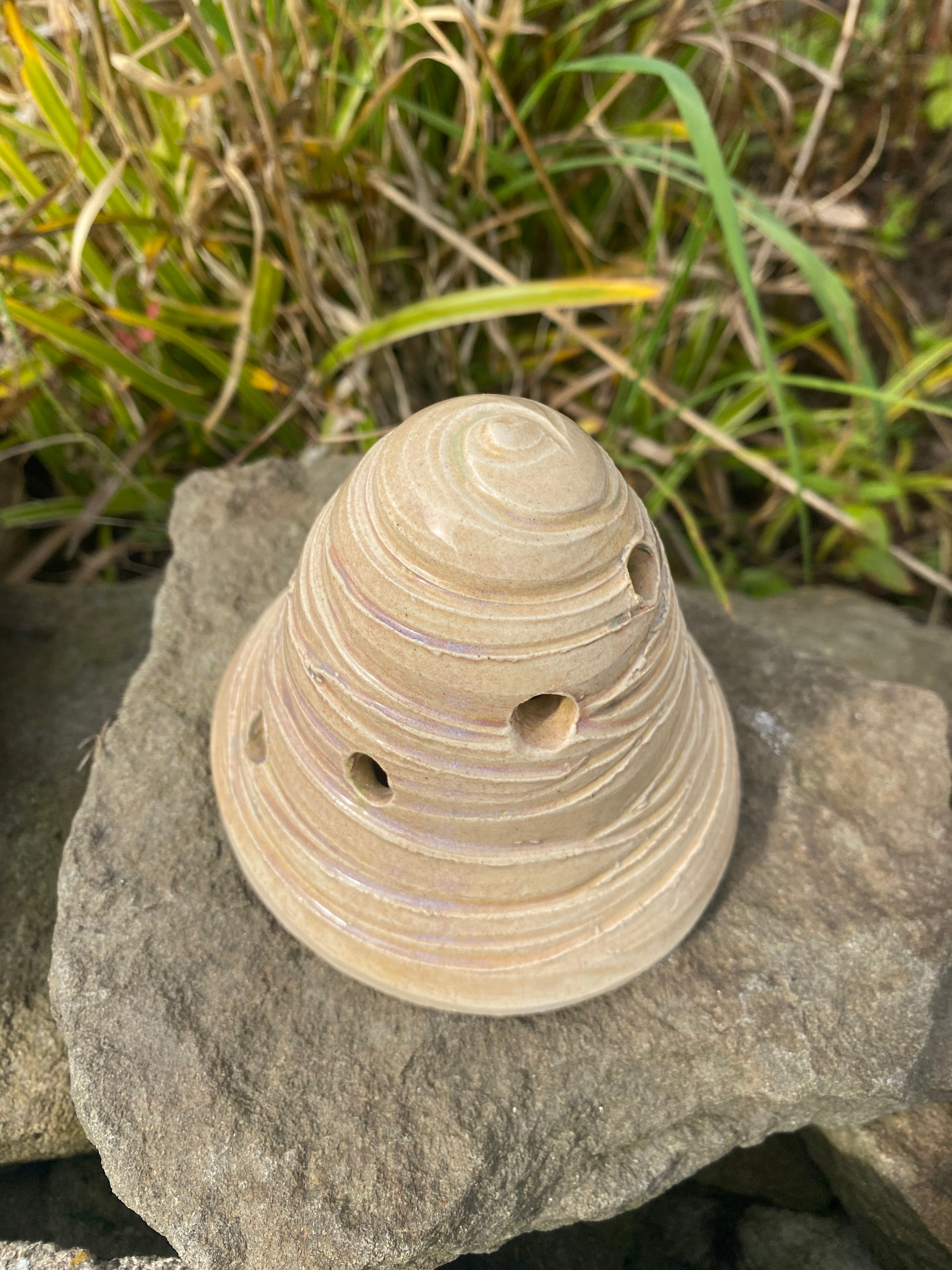 Spiral Bug House — a spiralling sanctuary for garden allies