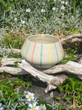 Candy Stripes Vessel: Playful Planter with Colourful Charm